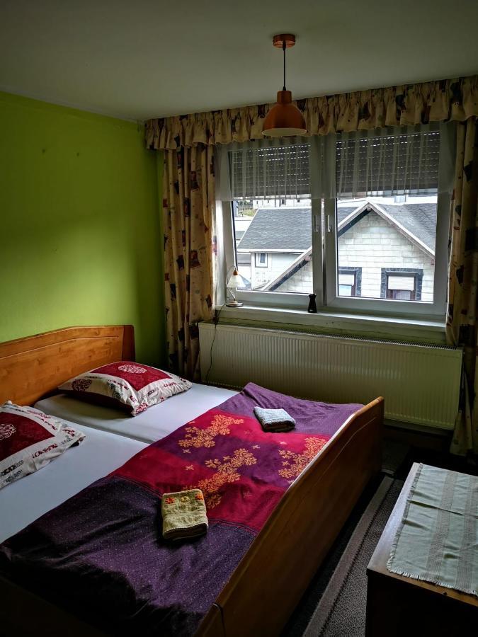 Gehlberger Landhaus Am Schneekopf / Ferienwohnung 苏尔 外观 照片